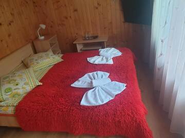 Фото номера Двухместный номер с 1 кроватью Гостевой дом Pensiunea Rossvillas г. Лепша 4